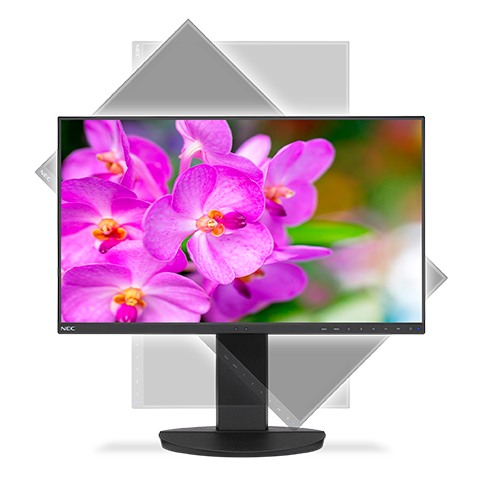 Монитор NEC 23.8 EA241F LCD Bk/Bk ( IPS; 16:9; 250cd/m2; 1000:1; 5 ms; 1920x1080; 178/178; D-sub; DVI-D; HDMI; DP; USB; HAS 150mm; Tilt; Swiv 170/170; Pivot; Spk 2х1W )