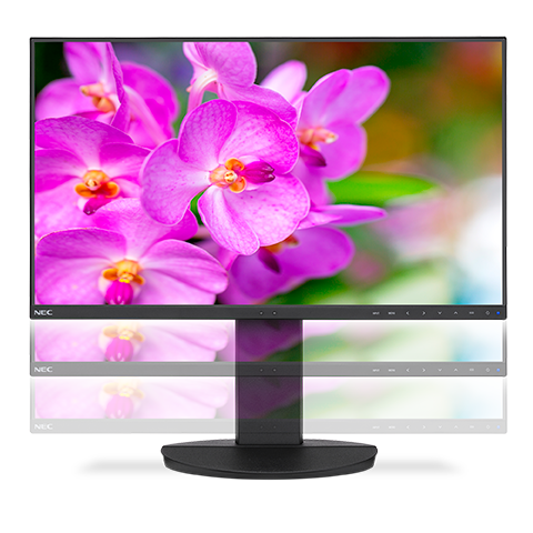 Монитор NEC 23.8 EA241F LCD Bk/Bk ( IPS; 16:9; 250cd/m2; 1000:1; 5 ms; 1920x1080; 178/178; D-sub; DVI-D; HDMI; DP; USB; HAS 150mm; Tilt; Swiv 170/170; Pivot; Spk 2х1W )