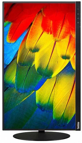Монитор Lenovo 61CFRAT2EU 23.8 ThinkVision T24m-10 черный IPS,1920x1080,6 ms,178°/178°,250 cd/m,1000:1,+HDM, +DP, +USB Type C, +USB 3.0 x 4) (61CFRAT2EU)