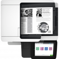 МФУ HP LaserJet Enterprise Flow M528dn (1PV64A)