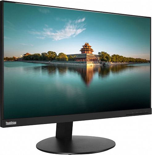 Монитор 23.8 Lenovo ThinkVision T24i-10 Black (IPS,1920x1080,6 ms,178°/178°,250 cd/m,1000:1,VGA+HDMI+DP) (61CEMAT2EU)