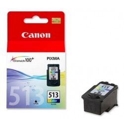 Картридж струйный Canon CL-513 Color для Pixma MP250/ip2700 оригинальный Картридж струйный Canon CL-513 Color для Pixma MP250/ip2700 оригинальный
