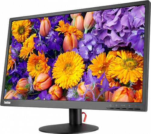 Монитор 23,8 Lenovo ThinkVision E24-10 (1920x1080, 250 кд/м2, 1000:1, 6 мс, 178°/178°) IPS, VGA/N/N/DP1.2/Tilt (61B7JAT6EU)