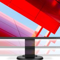 Монитор NEC E242N-BK 24 E242N-BK LCD BK/Bk (IPS; 16:9; 250cd/m2; 1000:1; 6ms; 1920x1080; 178/178; VGA; HDMI; DP; USB 3.1; HAS 110 mm; Tilt; Swiv 45/45; Pivot; Spk 2x1W)