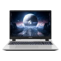 Ноутбук Colorful EVOL P16 TA 24 (A10205400074)