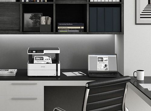 МФУ EPSON M2170 (C11CH43404)